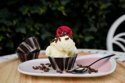 Eispulver Neutral 500g