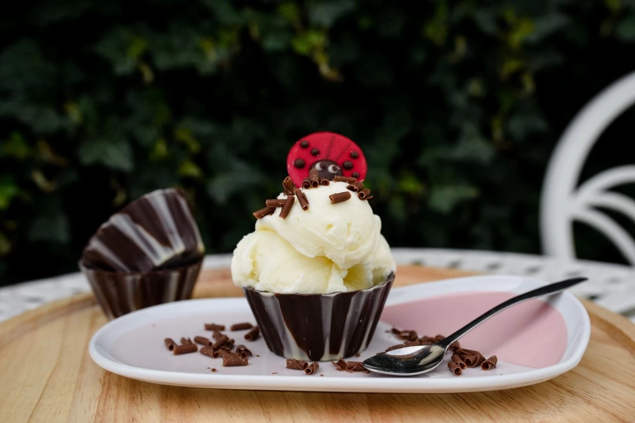 Eispulver Neutral 500g 1 Eispulver Neutral 500g