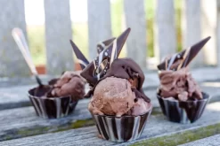 Eispulver Schokolade 50g