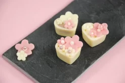 Gel Marc De Champagne 50 % Vol., 200g -Hobbybäcker 746fe6491c555ab82f916ab2d9fff1d2