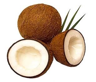 Kokos-Paste 220g 2 Kokos-Paste 220g - Image 2