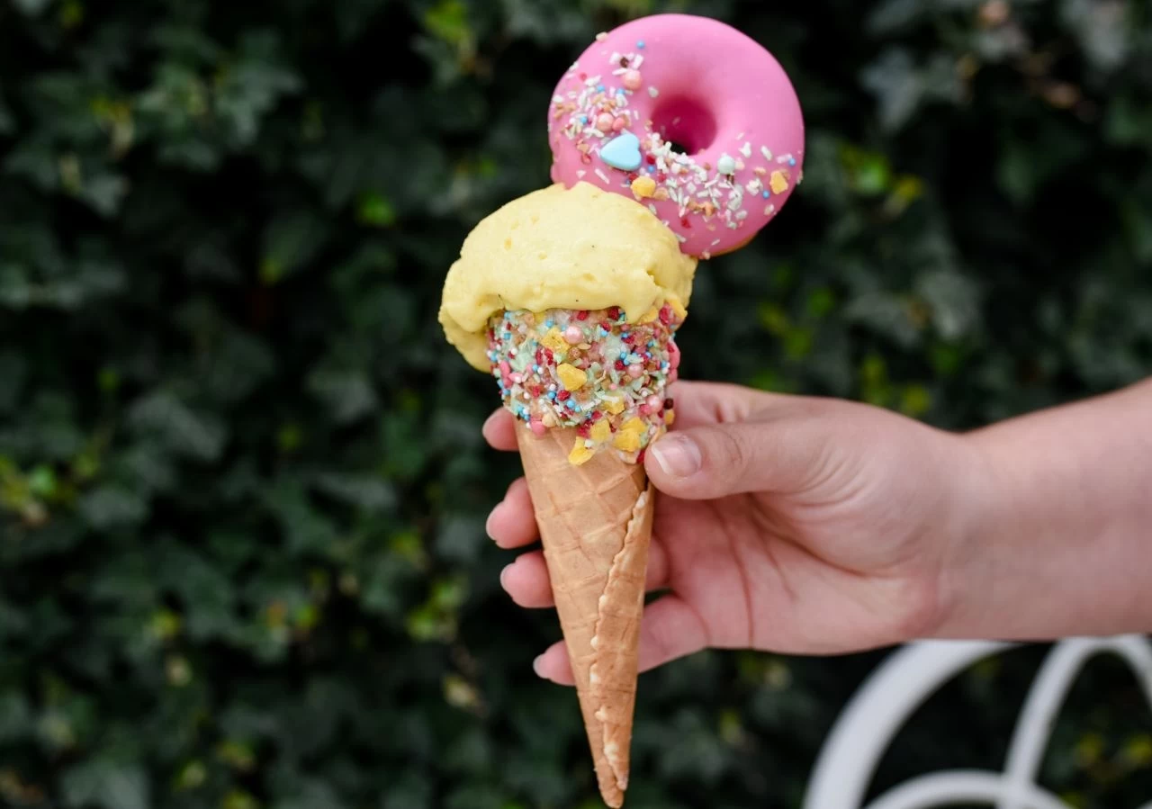 Eispaste Vanille-Bourbon 250g 1 Eispaste Vanille-Bourbon 250g