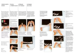 Louise & Othmar Fassbind: Das Große Lehrbuch Der Zuckerartistik, 4 Sprachen -Hobbybäcker b17913