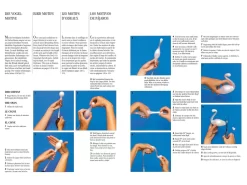 Louise & Othmar Fassbind: Das Große Lehrbuch Der Zuckerartistik, 4 Sprachen -Hobbybäcker b17914