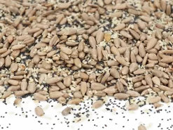 Körnermix Für Weltmeisterbrote 500g