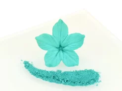 RAINBOW DUST Lebensmittelfarbpulver: Peacock Blue, Türkis, 4 G