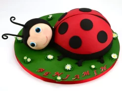 Rollfondant PREMIUM PLUS, Helle Haut/Apricot, 250 G -Hobbybäcker b24691 1