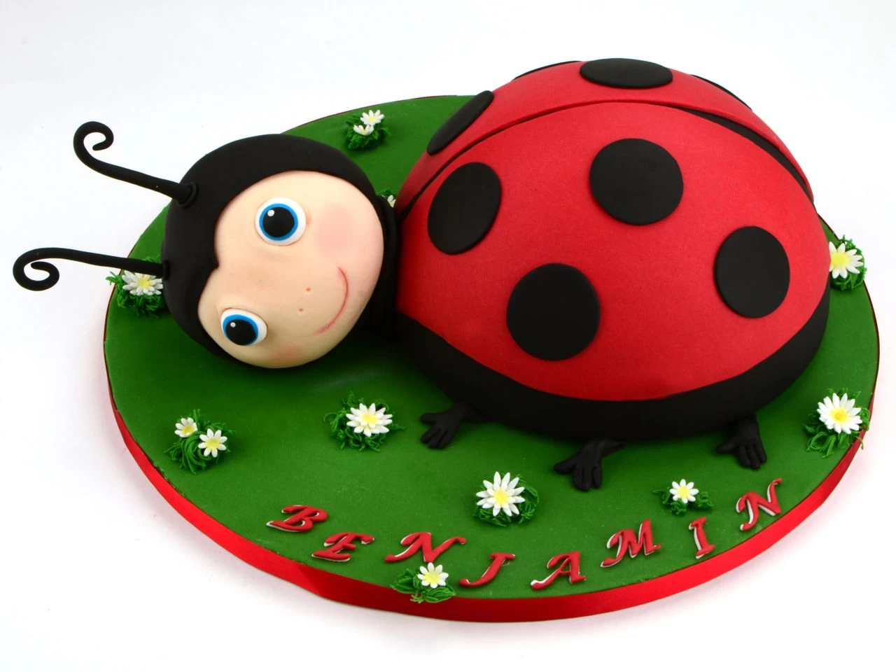 Rollfondant PREMIUM PLUS, Waldgrün, 1 Kg 4 Rollfondant PREMIUM PLUS, Waldgrün, 1 Kg - Image 4