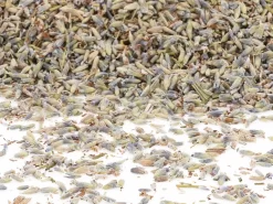 Essbare Blumen Echte Lavendelblüten, 15 G