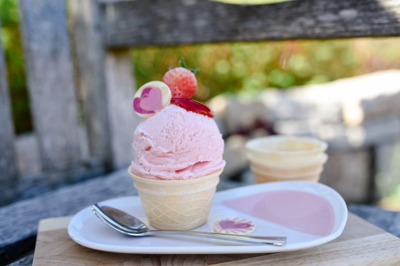 Eispulver Erdbeer 50g 2 Eispulver Erdbeer 50g - Image 2