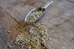 Roggenkörner Spezialgereinigt 1kg