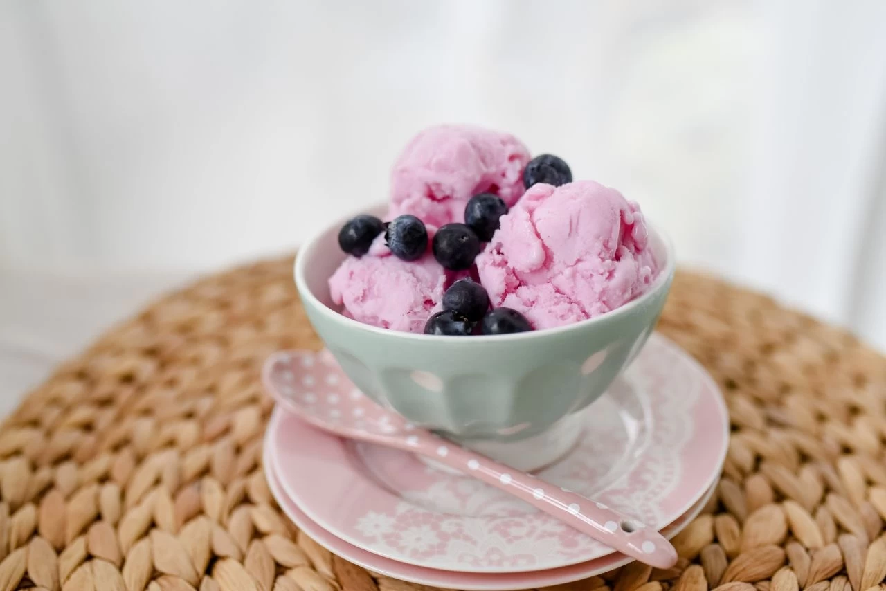 Eispulver Joghurt Heidelbeer 50g 1 Eispulver Joghurt Heidelbeer 50g